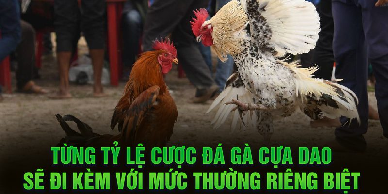 Từng tỷ lệ cược đá gà cựa dao sẽ đi kèm với mức thường riêng biệt 