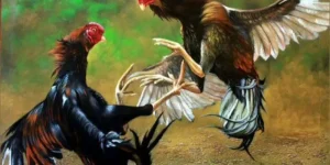 Bí quyết chơi đá gà 789bet