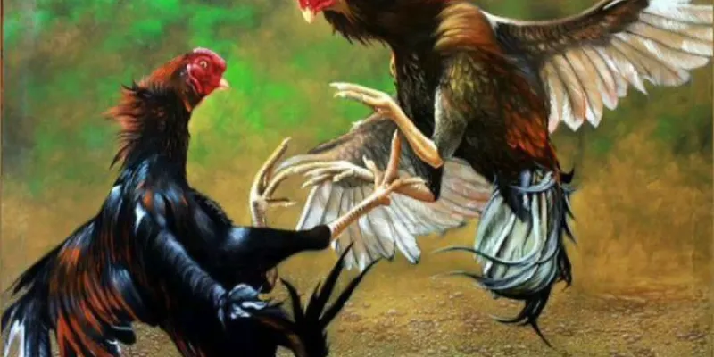 Bí quyết chơi đá gà 789bet