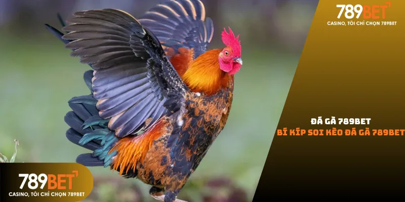 Ứng dụng đá gà 789Bet trên di động giúp theo dõi livestream không độ trễ và đặt cược mọi lúc mọi nơi.