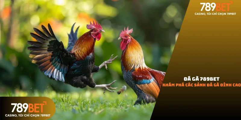 Đá gà 789Bet 2026 rực lửa với các trận đấu đỉnh cao và giao diện đặt cược chuyên nghiệp.
