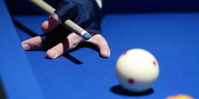 Đặt cược và tận hưởng trận đấu